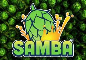 ZAMBA 100G
