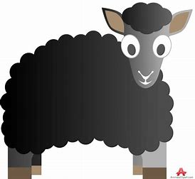 GB BLACK SHEEP