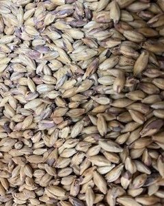 SM AMBER MALT 1KG