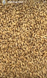 MM CHIT MALT 1KG