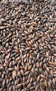 MM LIGHT CHOC MALT 1KG