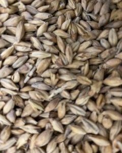 MM MUNICH MALT 2.5KG