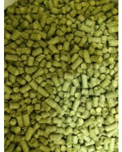 ASTRA 100G