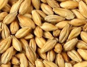 BA 25KG HPDM MALT