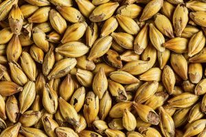 SM DRC MALT 1KG