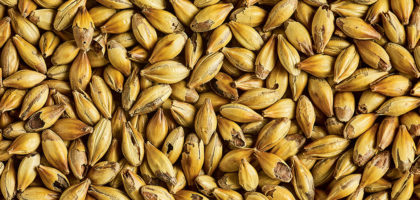 SM DRC MALT 500G