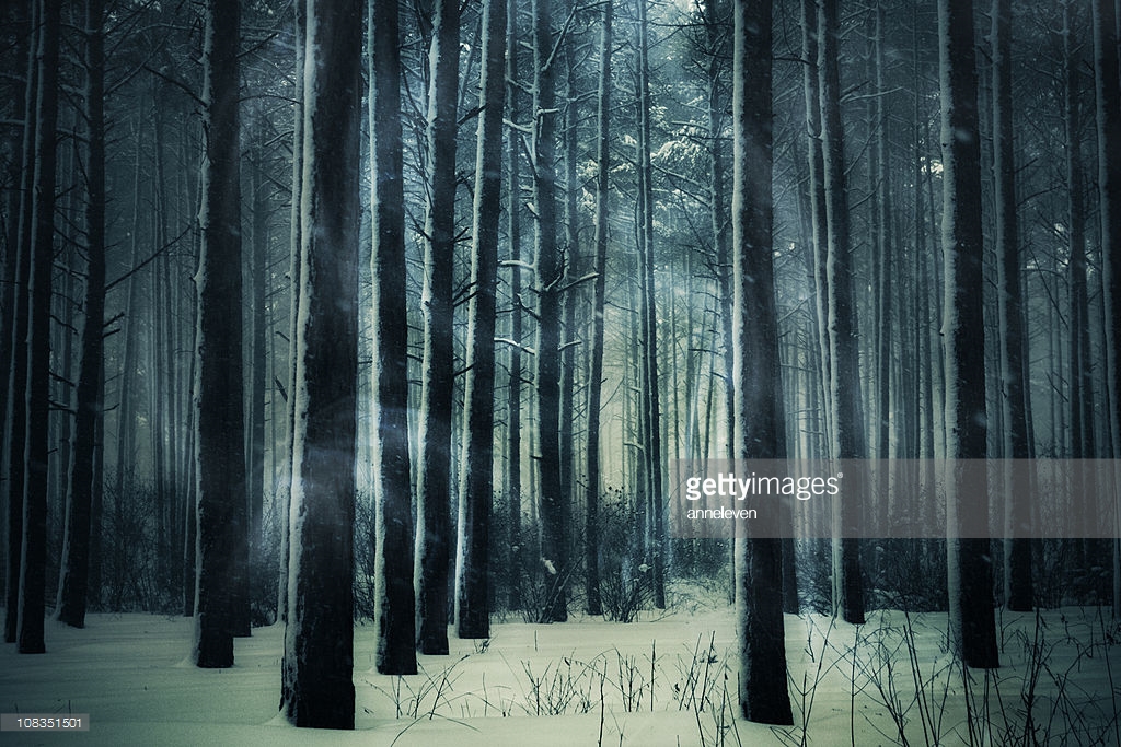 GB SNOW GHOST