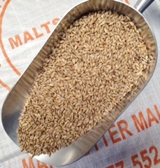 BA 1KG MARIS OTTER